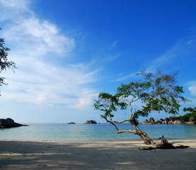 Sccenic view of Tanjung Tinggi Beach with blue sky