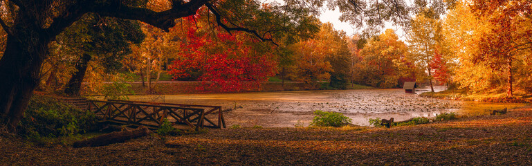 Autumn scene at the lake in park. Lipnik (Teketo) park, Nikolovo village area, Ruse district,...