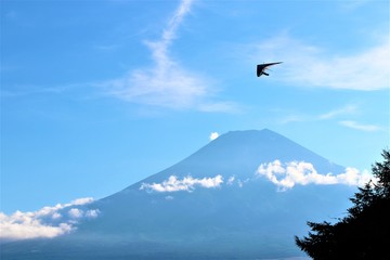 ハンググライダーと富士山