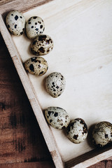 Fototapeta premium Quail eggs in wooden box