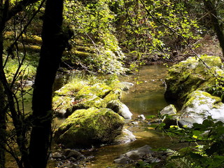 Rivi&egrave;re et nature