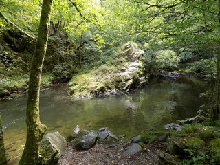 Point d'eau naturel