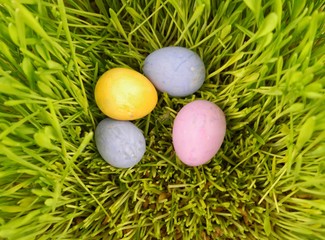 Fototapeta na wymiar Easter eggs in green grass