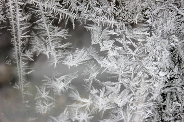 Winter gray frosty pattern on the windowpane