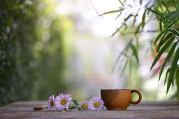 Brown cup and pink Zinnia flower at outdoor