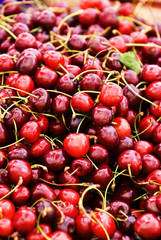 Group of red ripe cherries,