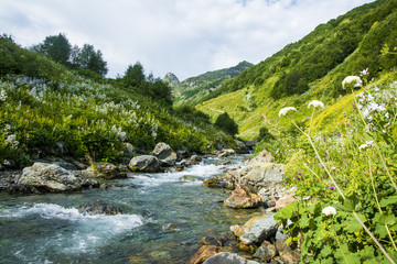 Fototapeta na wymiar Stormy mountain river. Mountain green valley. Caucasus.