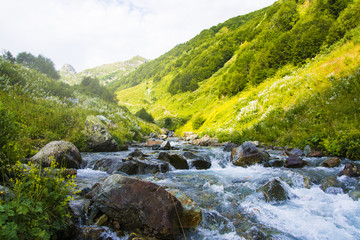 Stormy mountain river. Mountain green valley. Caucasus.