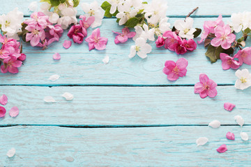 pink spring flowers on blue wooden background;