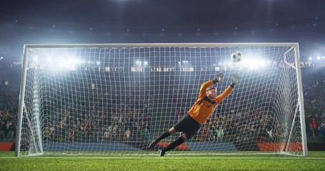 Soccer goalkeeper in action on professional stadium - Powered by Adobe