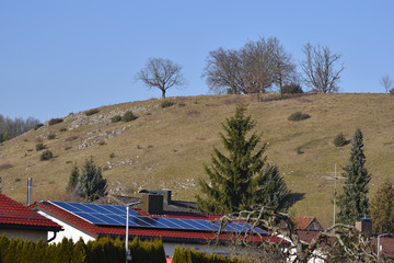Berg mit Bäumen an einem sonnigen Wintertag, Schwäbische Alb, Giengen/Brenz, Deutschland, Europa