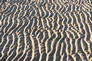 Rippelmarken am Strand von Amrum