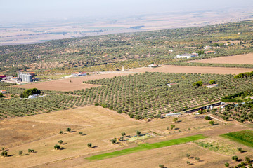 La campagna del Tavoliere di Puglia dall'alto