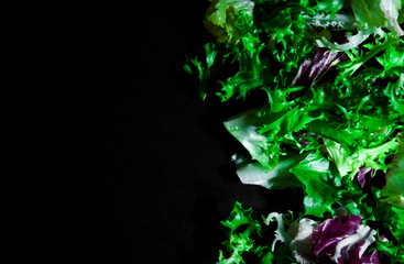various fresh salad leaves with lettuce, radicchio, and rocket on dark wooden background with copy space. top view