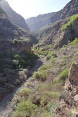 Canyon du nord de Ténérife, île des Canaries