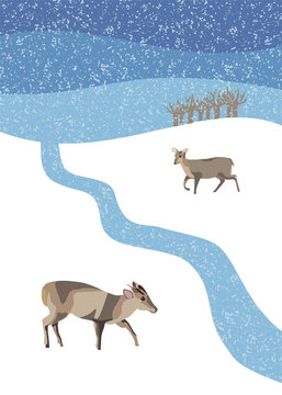 Winter scene with muntjac deer in snow flurry