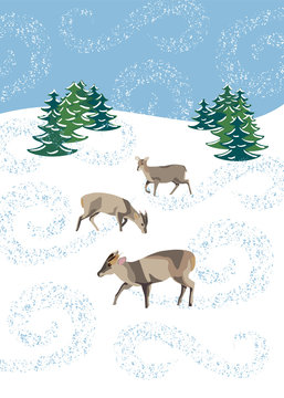 Winter snow scene with muntjac deer