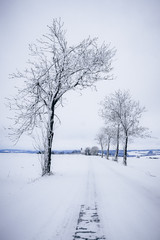 winter road