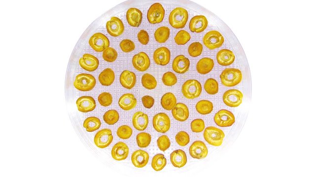 Time-lapse of drying apricot slices in dehydrating machine 2a2, 4K format, top view

