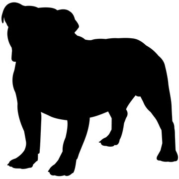 Bulldog Silhouette Vector Graphics