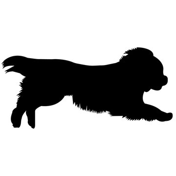 recommend clip art: Cavalier King Charles Spaniel Dog Silhouette Vector Graphics