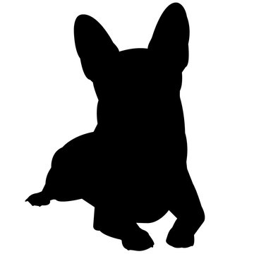 recommend clip art: Chihuahua Dog Silhouette Vector Graphics