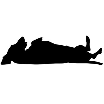 recommend clip art: Dachshund Dog Silhouette Vector Graphics