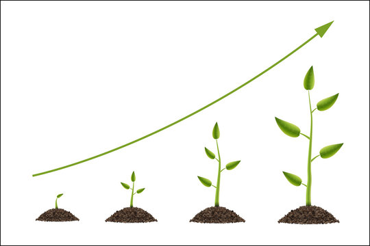 Creative vector illustration of growth up green tree with leaf isolated on background. Business cycle diagram development. Art design seedling gardening plant life. Abstract concept graphic element