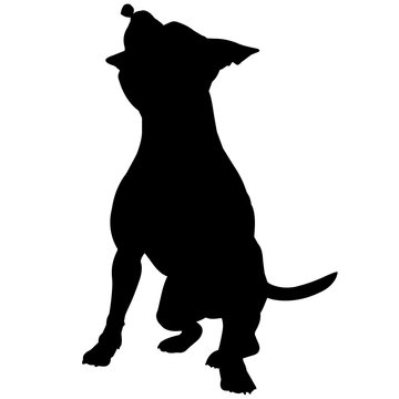 recommend clip art: Staffordshire Bull Terrier Dog Silhouette Vector Graphics
