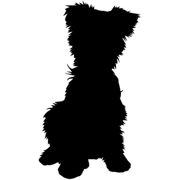 recommend clip art: Yorkshire Terrier Dog Silhouette Vector Graphics