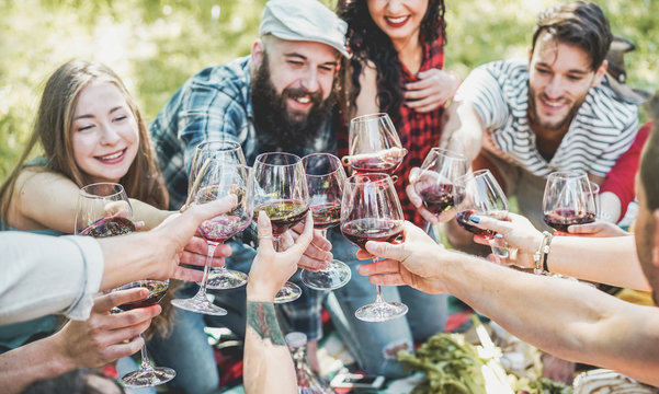 Happy Friends Cheering With Red Wine At Picnic Barbecue Outdoor