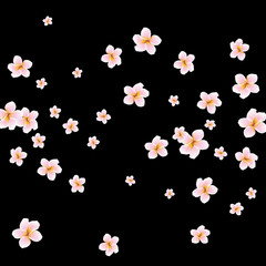 Festive Background with plumerias. Feminine Pattern for Postcard, Print, Banner or Poster. Small Pretty  flowers For Party Decoration, Wedding, Birthday or Anniversary Invitation.