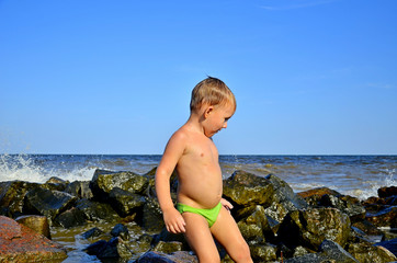 Beautiful view of rocky coast on Gotland, island in the Baltic Sea in Sweden. Little boy with light blonde hair standing on stone, looking at dog. Dog carrying stick, going out of water on stone beach