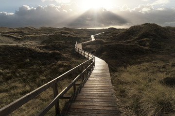 Fototapeta premium Dünen am Strand von Amrum