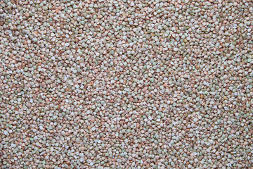 Raw green buckwheat texture background