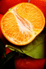 clementine mit blatt
