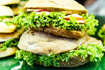 Fresh homemade hamburger with fresh vegetables and herbs.