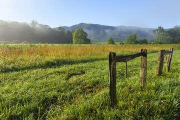 Country Meadow on Sunny Morning in Smoky Mountains