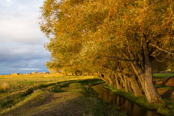 Autumn trees along creek on a farm