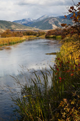 Fall colors along the creek's edge