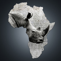 The continent of Africa with a rhino. Creating awareness on poaching. Ceratotherium simum