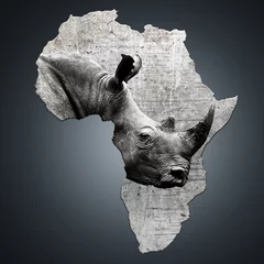Deurstickers The continent of Africa with a rhino. Creating awareness on poaching. Ceratotherium simum © EtienneOutram
