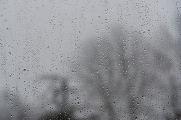 rain drops at a window, blurry bare trees  in the background, bad weather concept, copy space