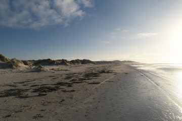 Am Strand von Amrum