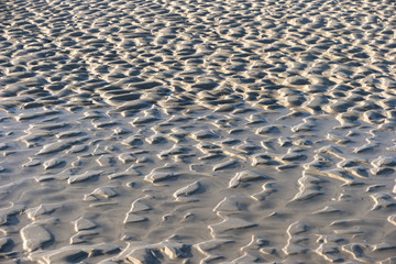 Fototapeta na wymiar Rippelmarken am Strand von Amrum