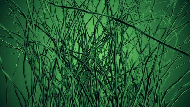 Abstract intro. Growing particles in 3D space.Growing  green artificial plants.Abstract green Grass background. Wheat germ growth.Type 4