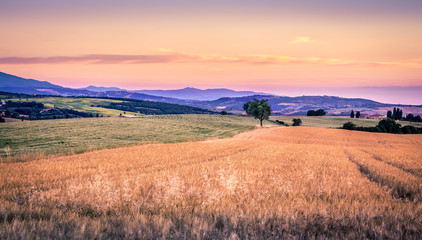 Tuscan rural landscape