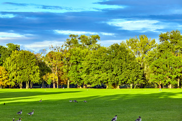 Obraz premium Beautiful park scene. panorama of green city park