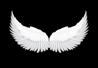 Naklejka na ściany i meble Vector realistic white angel wings