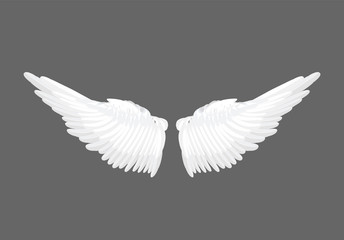 Obraz na płótnie Canvas Vector realistic white angel wings